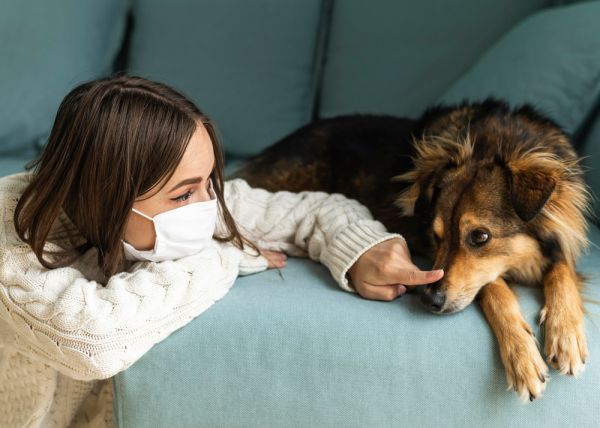 Les maladies respiratoires chez le chien : prévenir et soigner